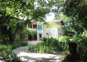 Devido à interdição da rua principal do Mutange, IMA realoca Herbário MAC e Jardineto