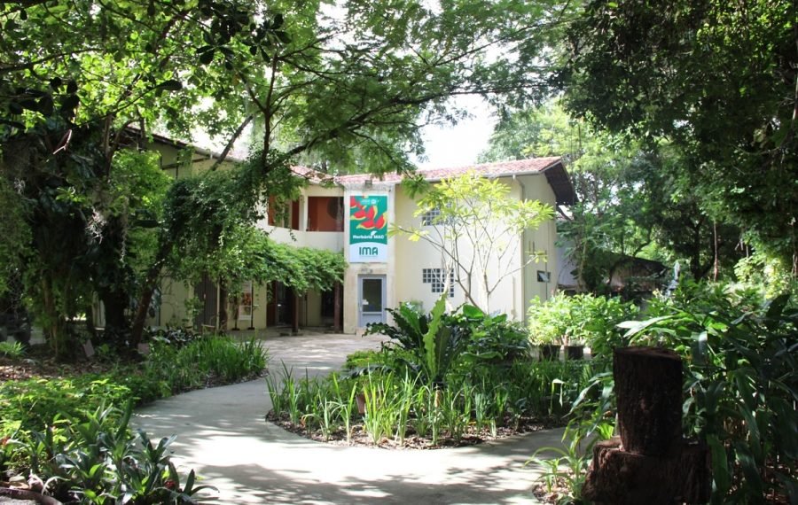 Devido à interdição da rua principal do Mutange, IMA realoca Herbário MAC e Jardineto