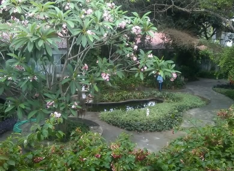 Devido à interdição da rua principal do Mutange, IMA realoca Herbário MAC e Jardineto