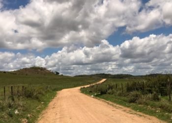Governador autoriza no Palácio construção de rodovia entre Murici e Capela
