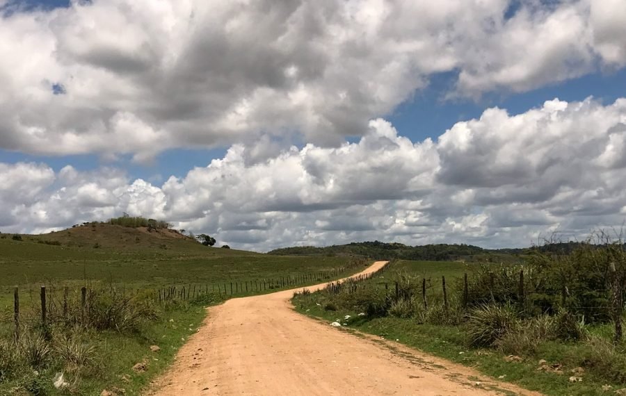 Governador autoriza no Palácio construção de rodovia entre Murici e Capela